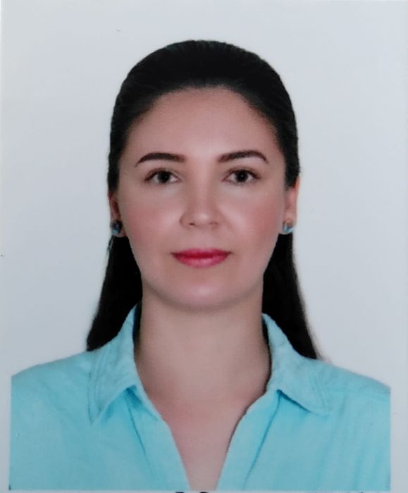 Meditatii matematica clasele 5-8