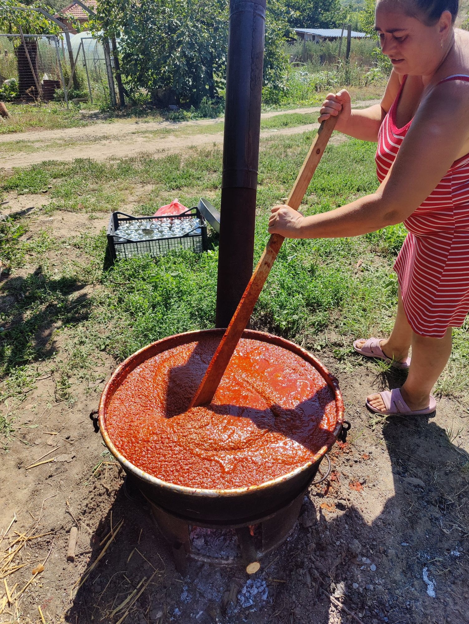 Домашна лютеница