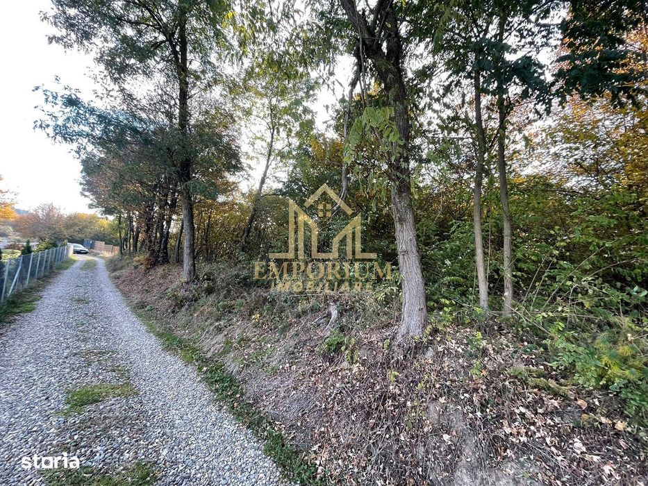 Teren Extravilan, Oportunitate, COMISION 0, Ciurila, Padurea Faget