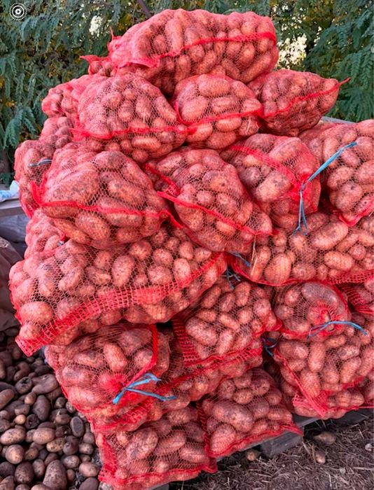 Cartof, varza,  ceapa la sac de 18 kg