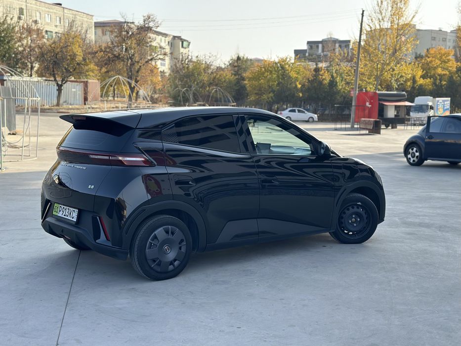 Byd seagull 305 km toza