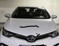 Capota auris 2018