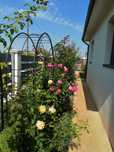 Vila 5cam teren 850m incalzire pardoseala beci semineu langa Bucuresti