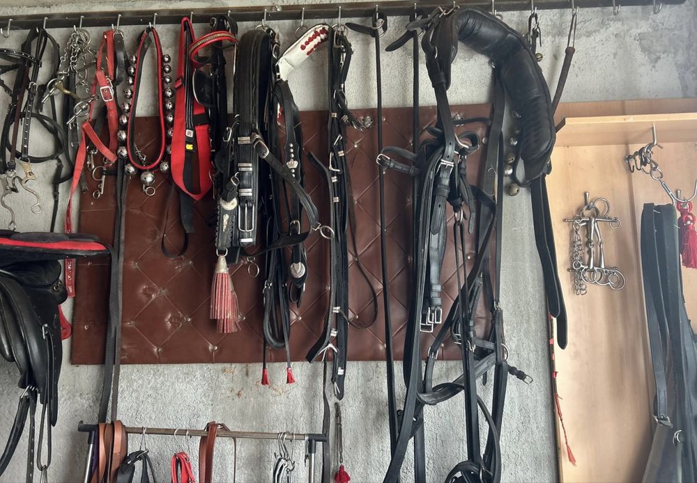 Hamuri din piele pentru cai si alte accesorii