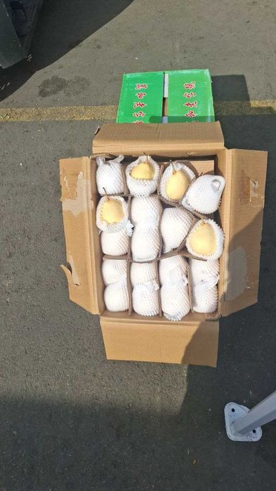 mandarin va sitrus maxsulotlar