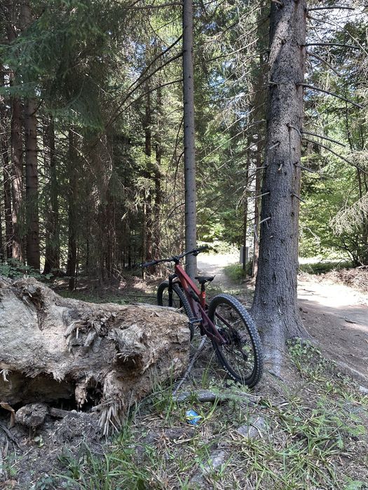 Canyon spectral 125 al 5