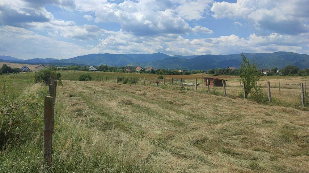 Vind teren 1250 m  teren intravilan situat pe str Sibiului în Cisnadie