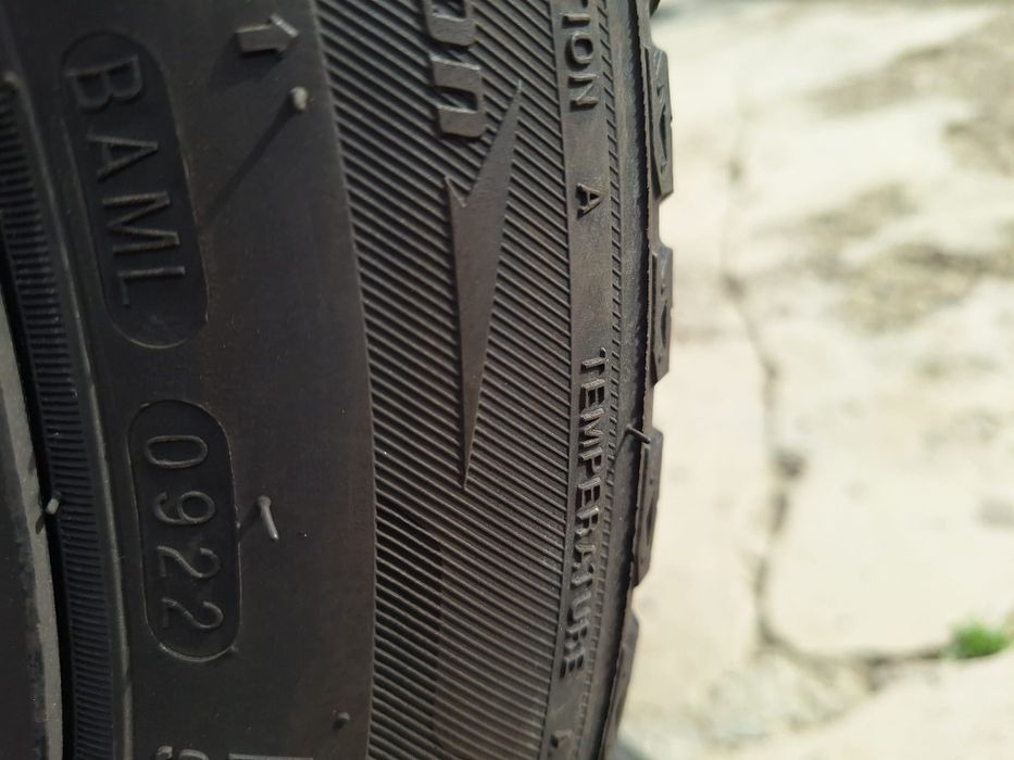 Cauciucuri de iarna 205/55/R16 Nexen
