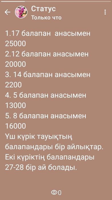 Куры домашние,Подрощенные цыплята 4х месячные. Гуси .