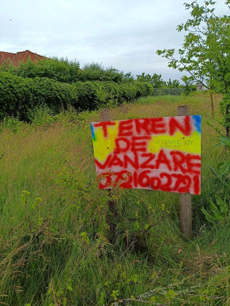 Teren intravilan Dascălu