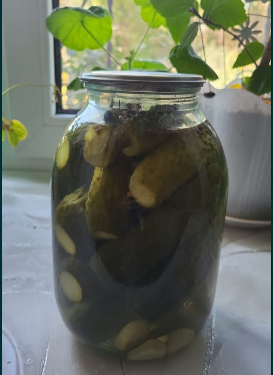 Соленые огурцы .