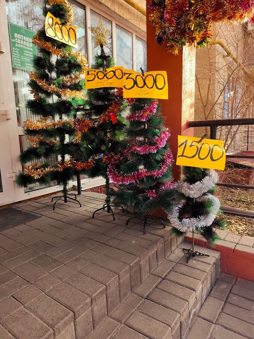 Ёлки по низким ценам только у нас