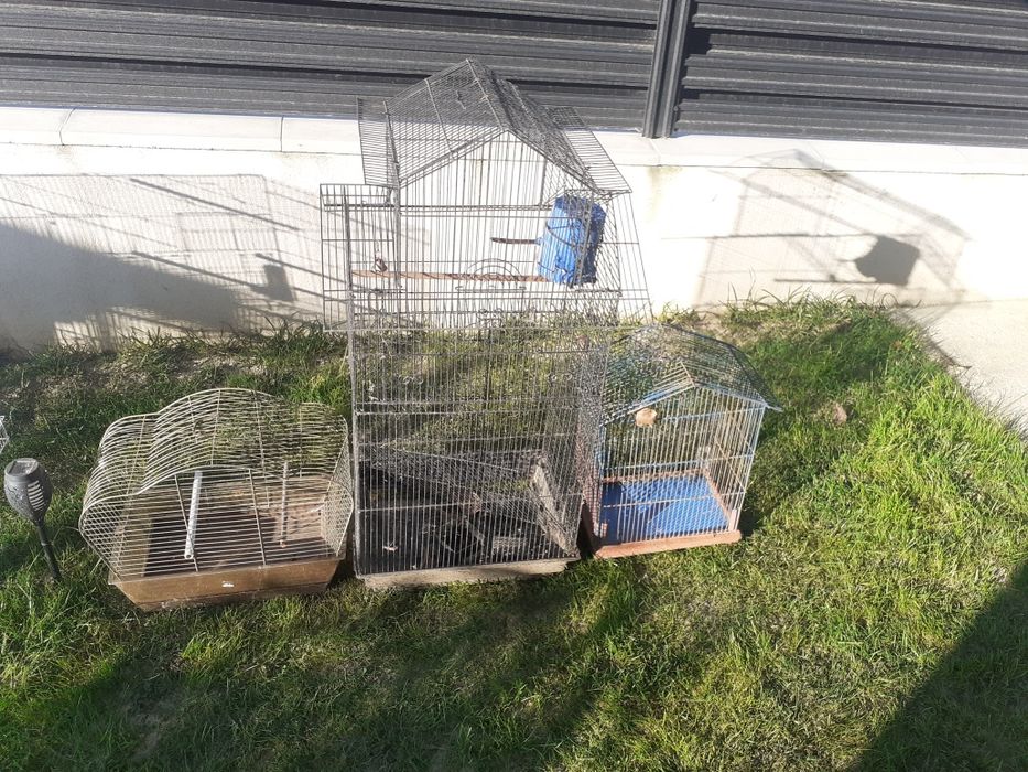 Cuști pentru papagali