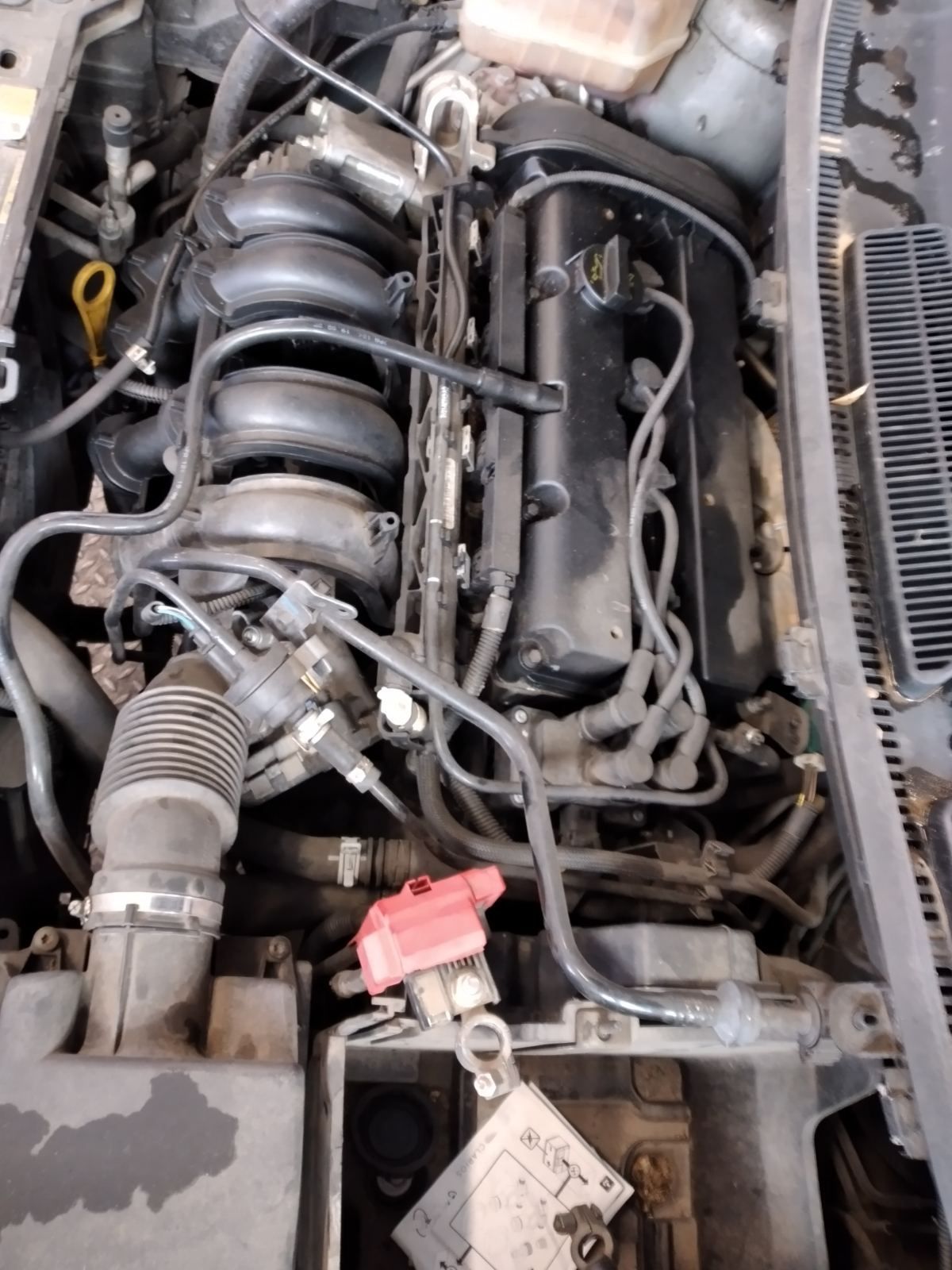 Ford fiesta 1.25/1.4  2010 на части