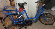 Bicicleta dama, barbati pentru oras