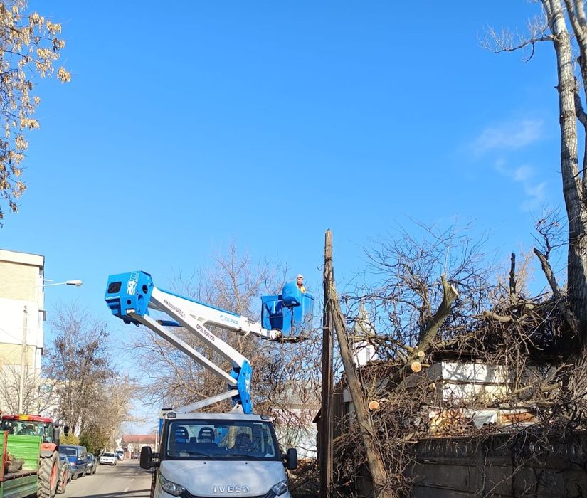 Tăiere/Fasonare/Toaletare Copaci/Alpinism Utilitar Rapid.