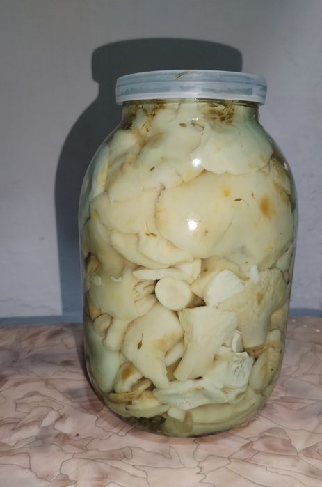 Продам грузди солёные