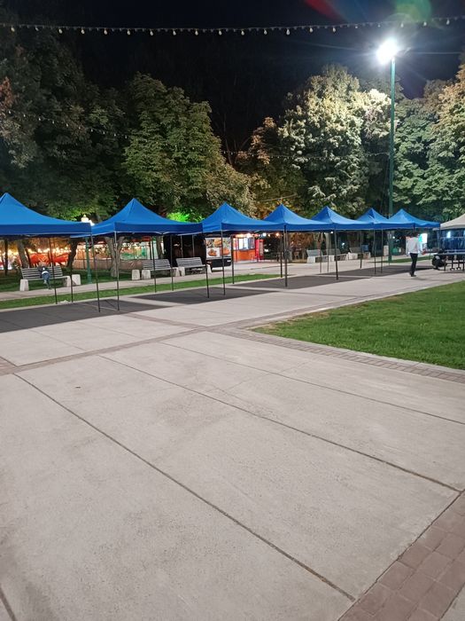 Зонтик аренда дастафка бор