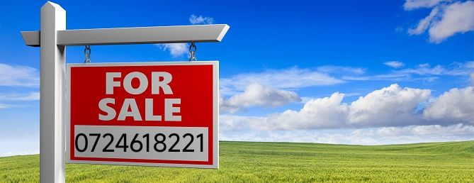 Vând teren extravilan la 8.000 €uro cu 0.9 euro mp-10.000 m2, Selaru-