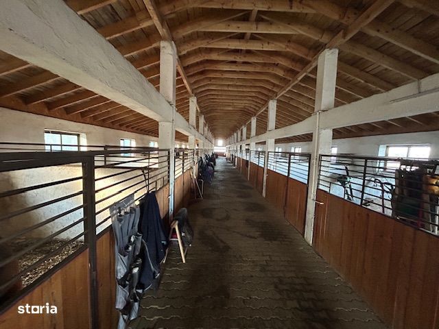 Proprietate speciala Centru de echitatie 15000 mp Gradinari Giurgiu