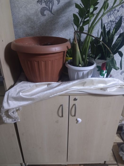 Продается мебель бу шифонер, комод, шкаф, прихожка