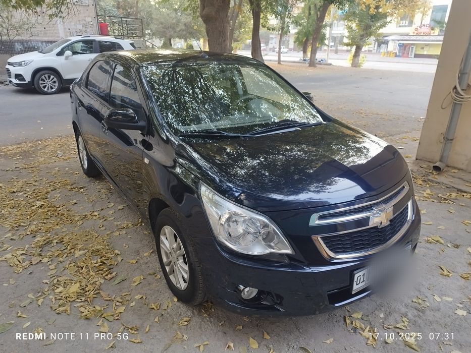 Коболт 23 краска тозза