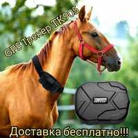 GPS Трекер ТК905 для лошадей коров КРС ЖПС, Сарань