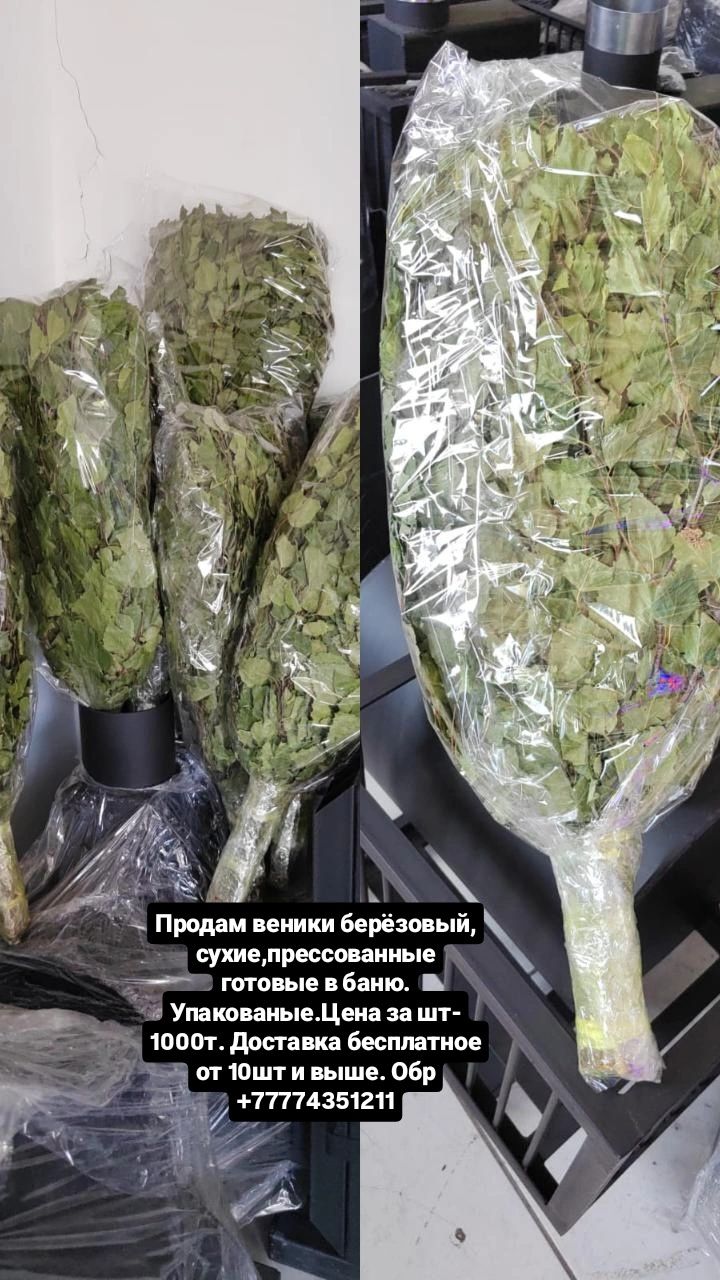 Берёзовый веники