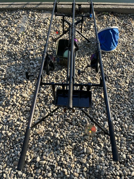 Lansete Avid Carp exodus