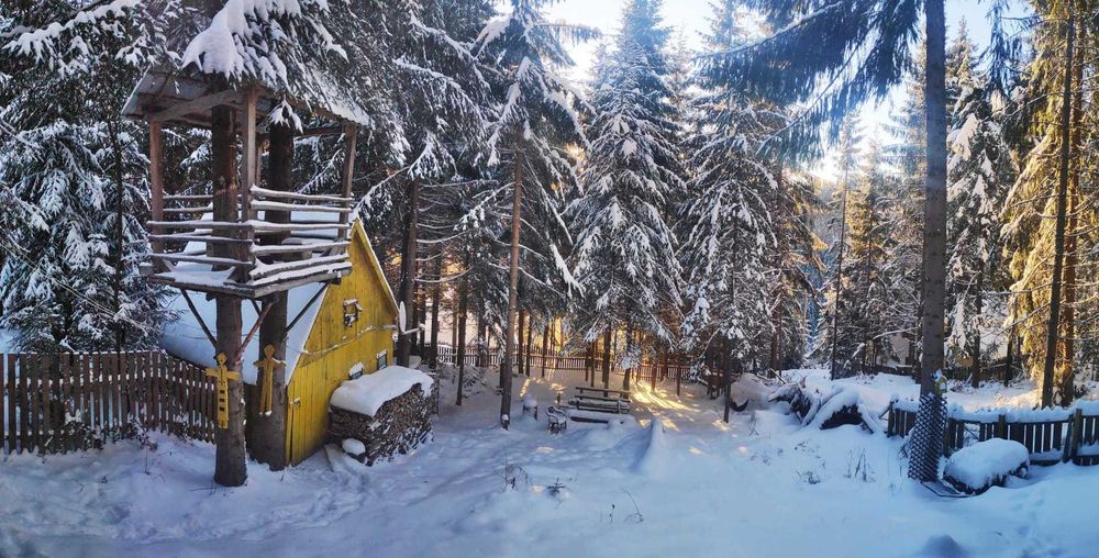 Cabana de închiriat, OCUPATA de Revelion. La 10 minute de Buscat.