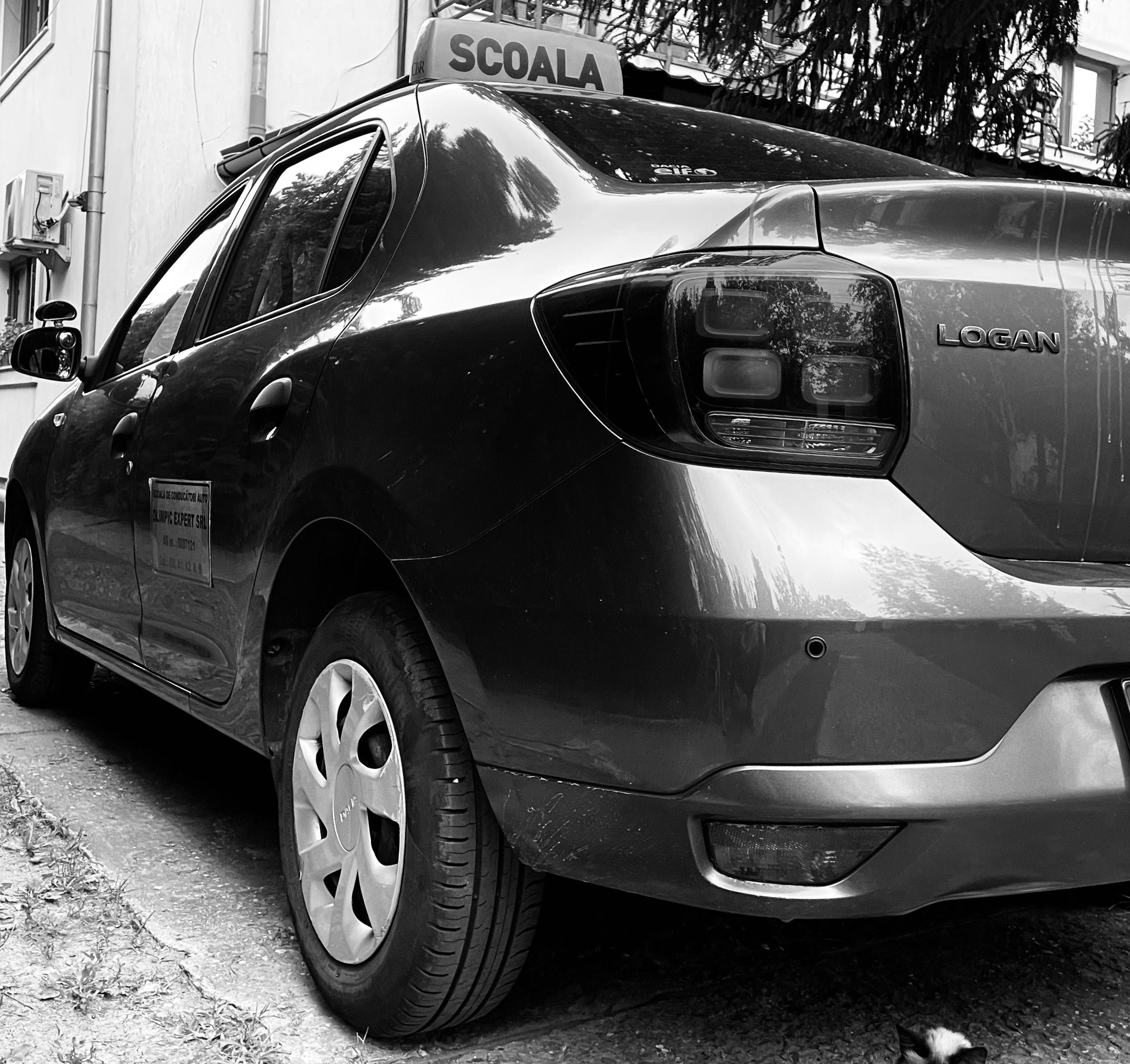 Instructor auto femeie-categoria B/Scoala de șoferi