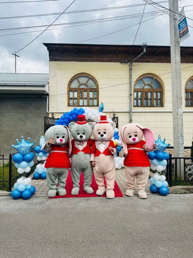 Afarmlenya ayiq animatr vidio foto albom moshina kartej tugilgan kun