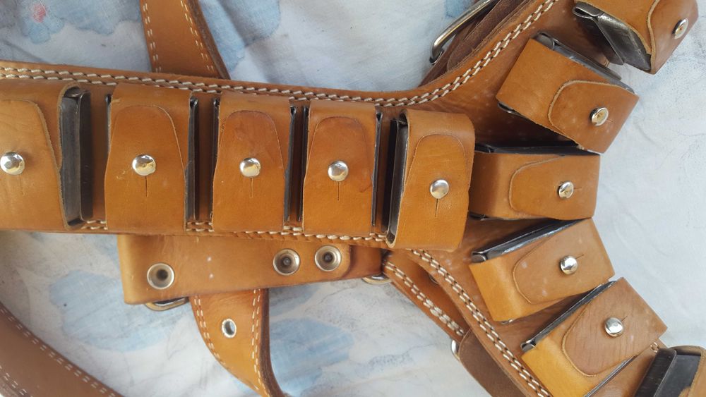 Шлейка и ошейник со съемными утяжелителями