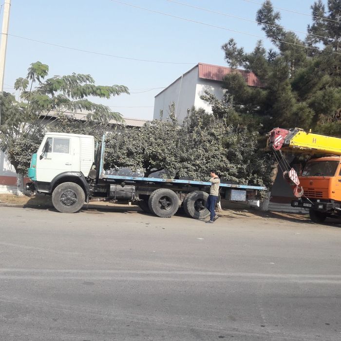 Камаз бортовой сотилади 1984 йил