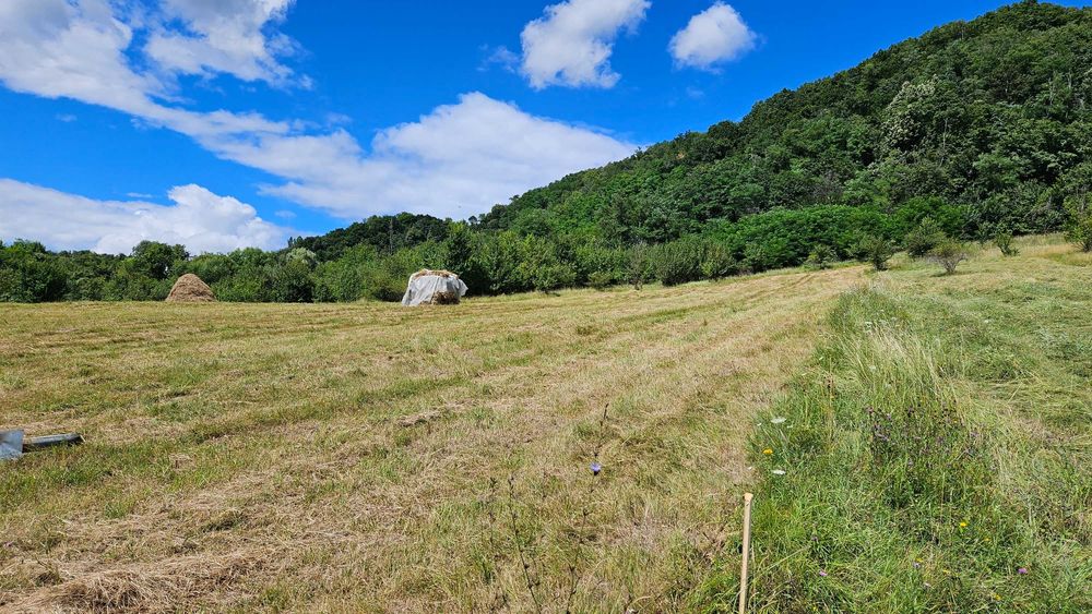 Teren intravilan 3837mp - Vladesti