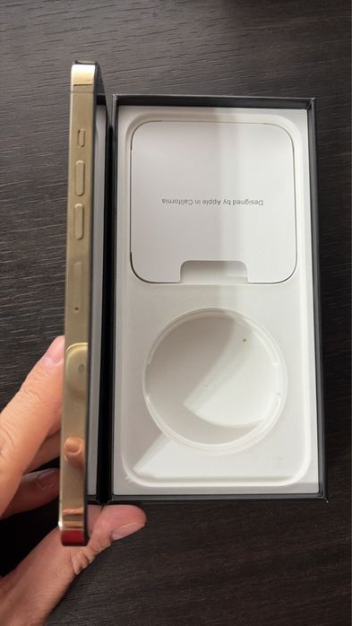 iPhone 13 pro max gold