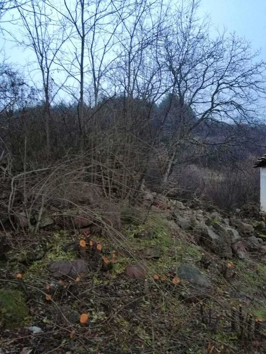 Парцел със стара къща в село Байлово