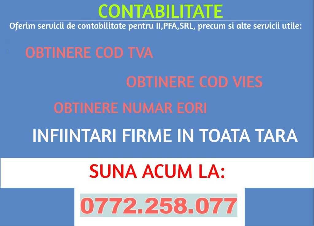 Servicii Contabilitate , Revisal , Salarii - CRAIOVA