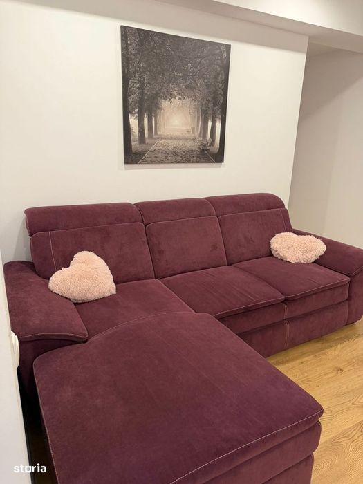 3 Camere +Pacare In Cosmopolis