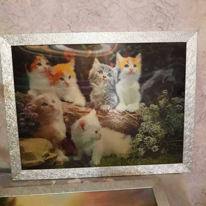 Картини  Комплект
