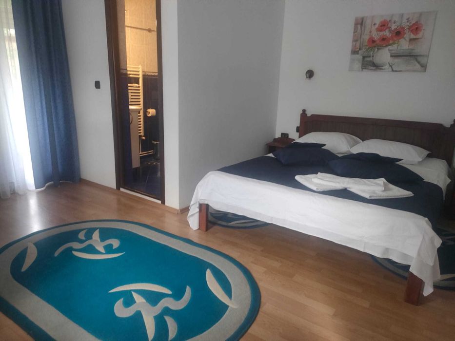 Pensiune in Bran pentru revelion