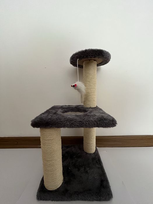 accesoriu pentru pisici