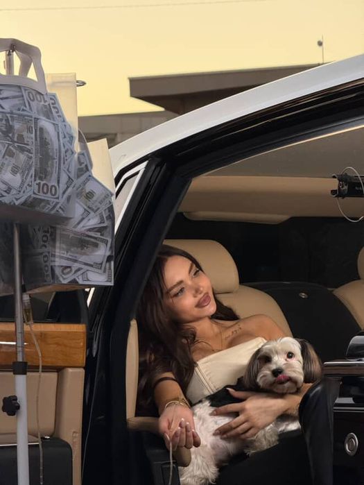 Йоркширский Бивер