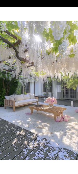 Wisteria -Magia florilor in gradina ta!