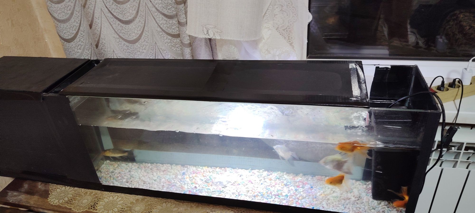 Akvarium komplekt sotildi 60l