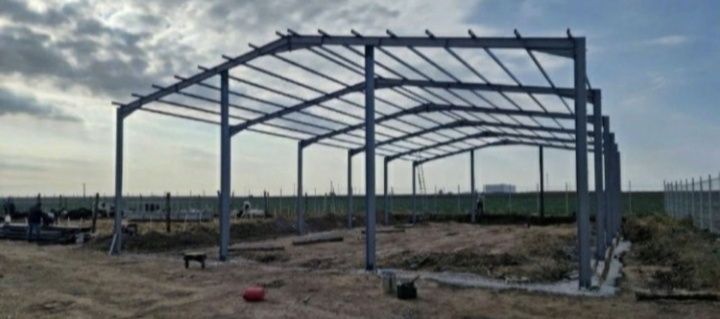 Vand structura metalica 10x20 din profil IPE 180. (5 ferme , 10 stalpi