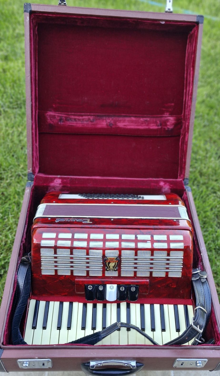 Acordeon Parrot 60 basi