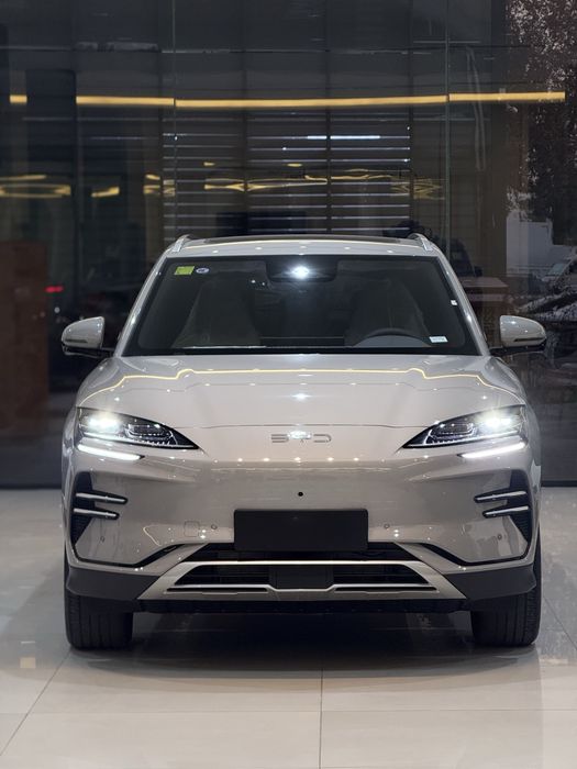 BYD Chenpion Smart driving 2026