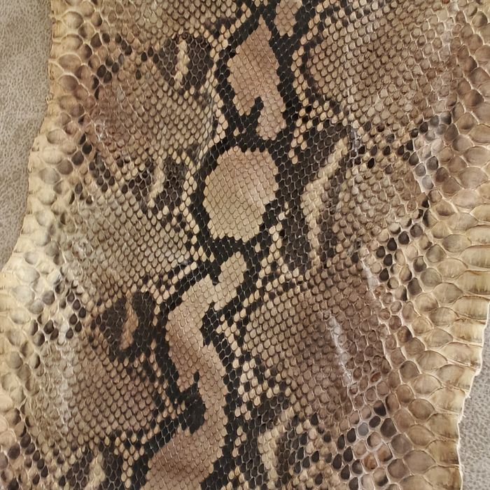 Огромна оригинална кожа от питон
