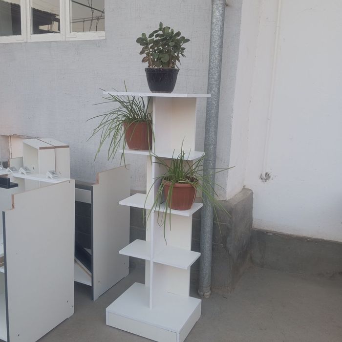 Sotiladi gul pastafka